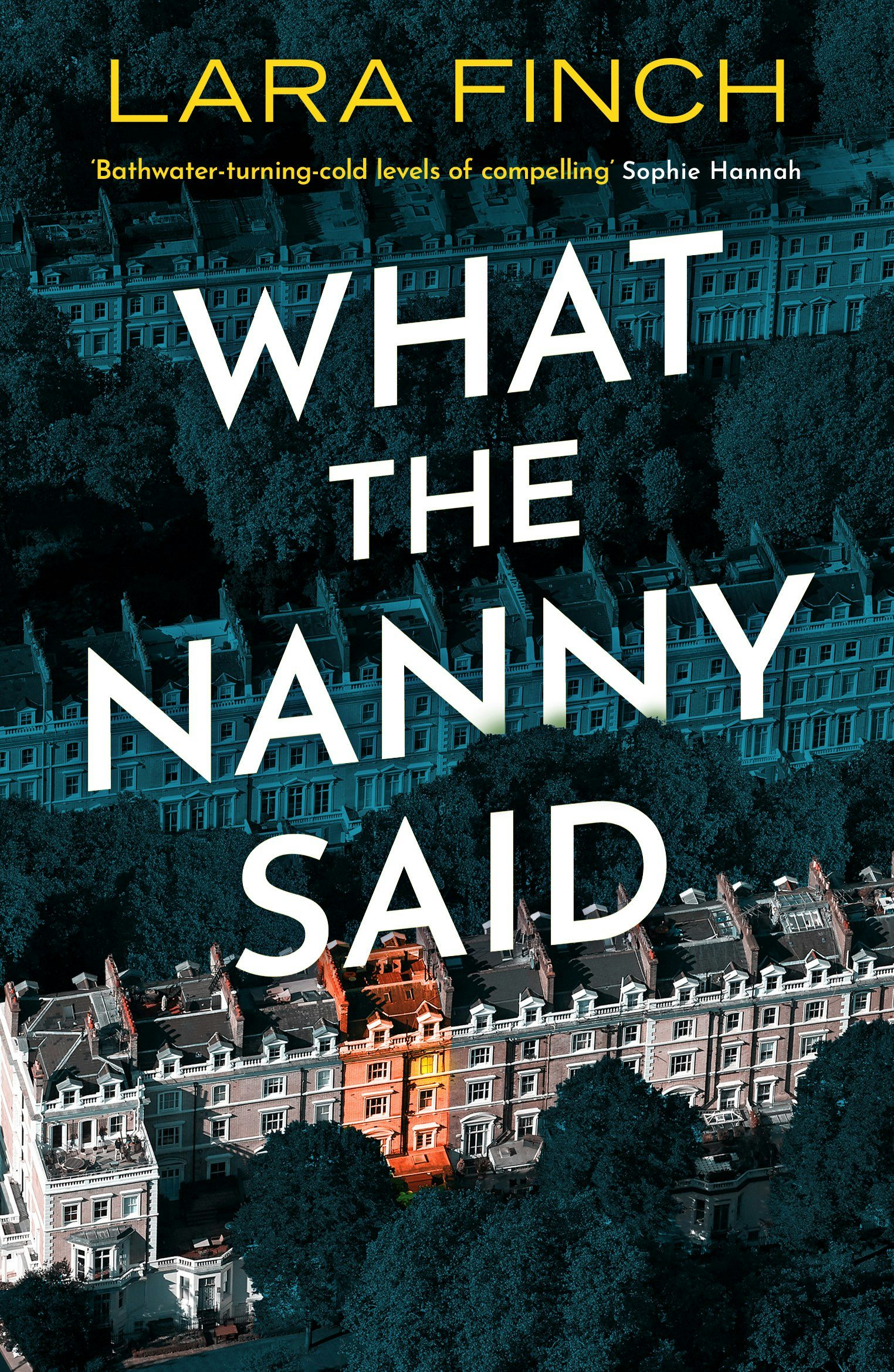 Book cover image for What the Nanny Said ISBN: 9781837001002